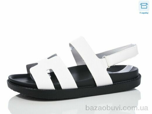 Hongquan K53-6, 490.00, 8, 36-41