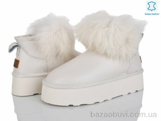 Мир 4224-5860-1 shell, 600.00, 6, 36-41