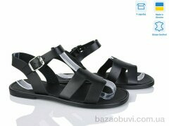 Ailinda 332-2, 590.00, 6, 36-40