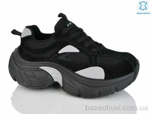 Teetspace-Trasta-Egga WDP1889-1, 35.00, 6, 36-41