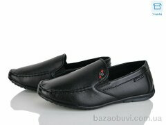 Nasite Z121-8C, 340.00, 8, 31-36