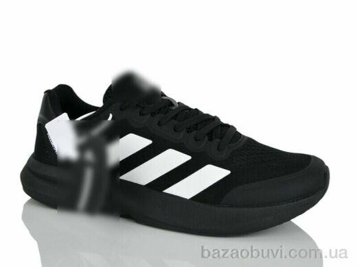 Dan Marest A31-5, 31.00, 8, 41-45