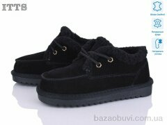ITTS 7741-1, 22.00, 6, 32-37