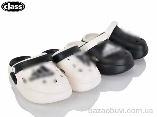 Wei Wei-Class 333-1-2 mix, 330.00, 12, 30-35