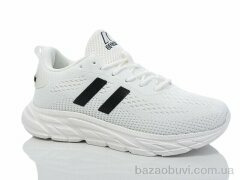 X&Y W2-2, 480.00, 8, 36-41
