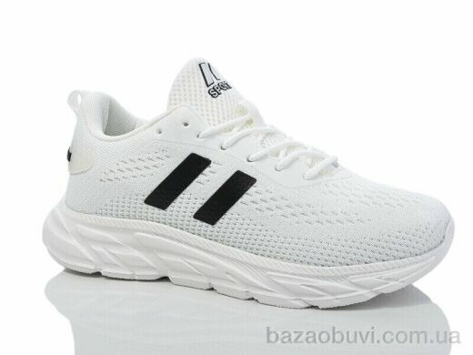 X&Y W2-2, 480.00, 8, 36-41