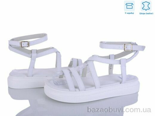 L&M-Lemon P516-5, 17.90, 8, 36-41