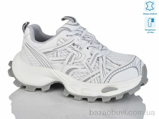 Teetspace-Trasta-Egga WDP1828-26, 35.00, 6, 36-40