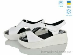 Ailinda 96688-8, 680.00, 6, 36-40