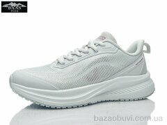 Baas L1896-15, 20.00, 8, 36-41