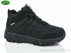 Bayota B9061-7, 21.00, 8, 36-41