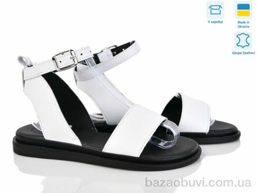 Ailinda 305-81, 580.00, 6, 36-40