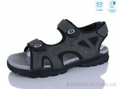 Hongquan F26-2, 620.00, 8, 41-46