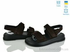 Ailinda 421-37, 730.00, 6, 36-40