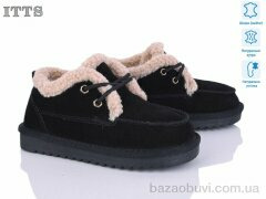 ITTS 7741-2, 22.00, 6, 32-37