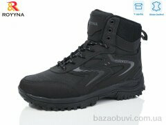 ROYYNA 102D-6, 30.00, 8, 41-46