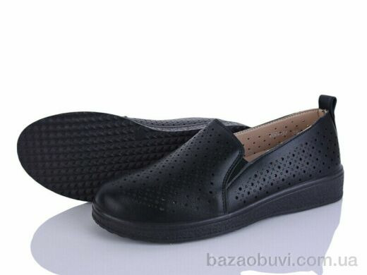 Lion-Lu 2024-34, 350.00, 8, 36-41