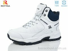 ROYYNA 095A-6, 30.00, 8, 41-46