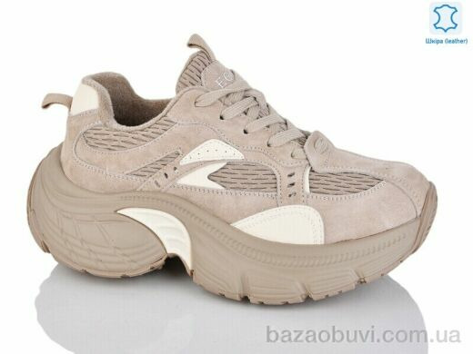 Teetspace-Trasta-Egga WDP1889-3, 35.00, 6, 36-41