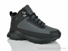 Pet B9056-5, 650.00, 8, 41-46