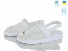 Ailinda 1309-8, 670.00, 6, 36-40