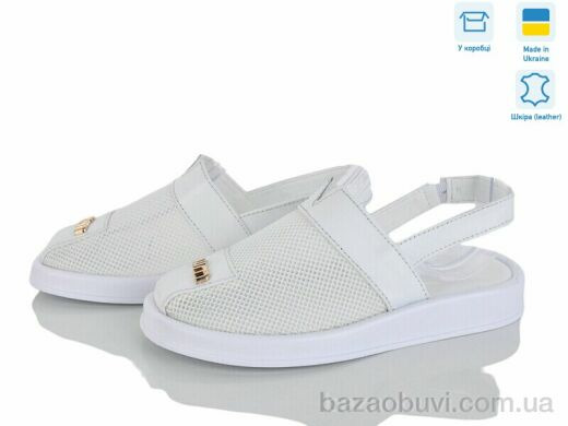 Ailinda 1309-8, 670.00, 6, 36-40