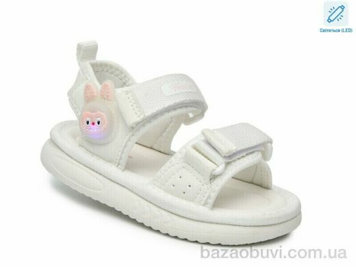 TOM.M T65068A LED, 430.00, 8, 23-28