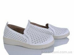 Lion-Lu 2024-36, 350.00, 8, 36-41