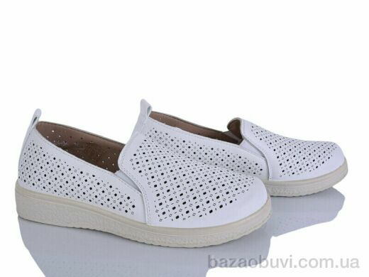 Lion-Lu 2024-36, 350.00, 8, 36-41