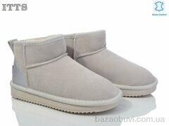 ITTS 5875-23, 600.00, 6, 36-41