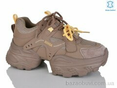 Teetspace-Trasta-Egga WDP1855-33, 32.00, 6, 36-40