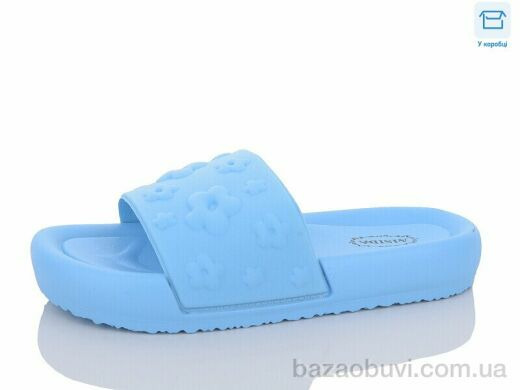 Hongquan X31 blue, 350.00, 8, 36-41