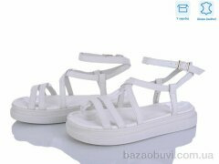 L&M-Lemon P516-6, 14.90, 8, 36-41