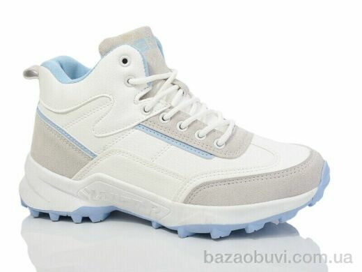 KMB B805-5L, 500.00, 8, 36-41