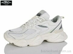 Baas L1795-25, 22.00, 8, 36-41