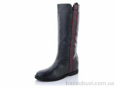 Lion 2009 grey, 280.00, 8, 36-41