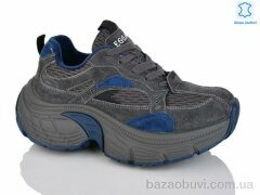 Teetspace-Trasta-Egga WDP1889-15, 35.00, 6, 36-41