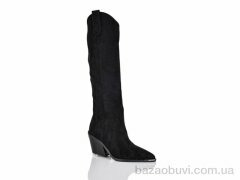 Teetspace-Trasta-Egga QX915-2, 33.00, 6, 36-40