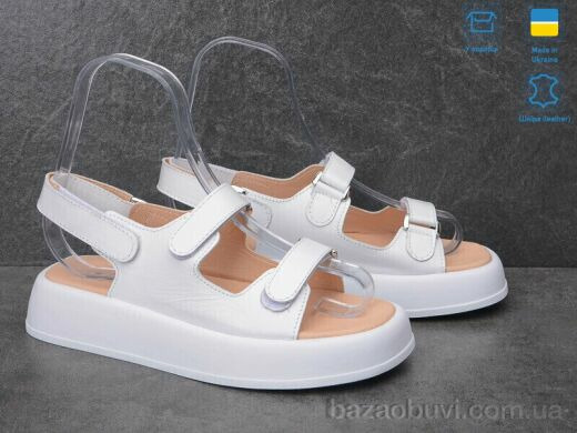 Ailinda 745-8, 590.00, 6, 36-40