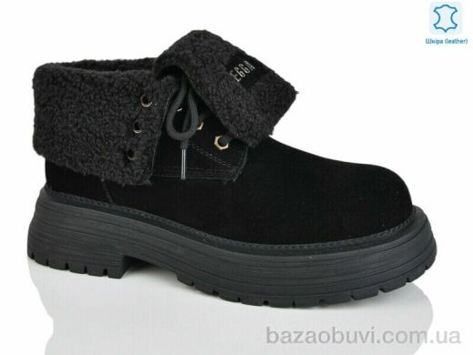 Teetspace-Trasta-Egga WMP1116-1, 33.00, 6, 36-40