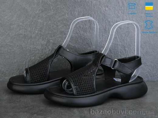 Ailinda 1701-2, 590.00, 6, 36-40