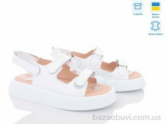 Ailinda 745-8, 590.00, 6, 36-40