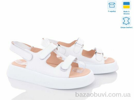 Ailinda 745-8, 590.00, 6, 36-40