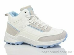 KMB B805-5L, 500.00, 8, 36-41