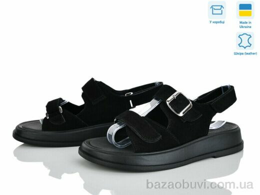 Ailinda 419-1, 730.00, 6, 36-40