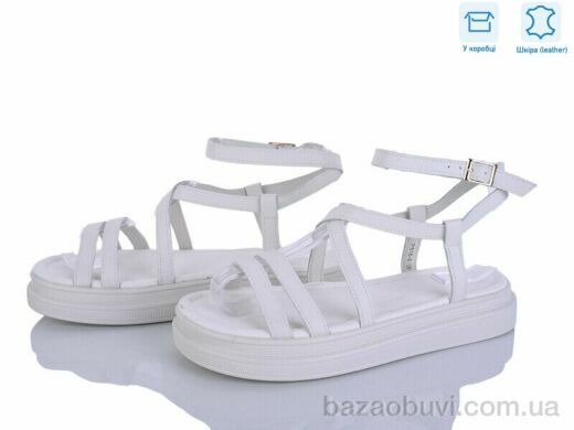 L&M-Lemon P516-6, 17.90, 8, 36-41