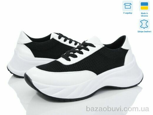 V.Arimany 1481 біл.ш.-т., 22.50, 6, 36-41