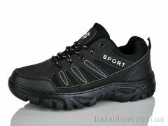 Ditof HA0026-1, 11.00, 8, 41-45