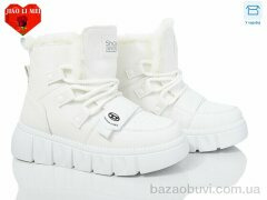 Jiao Li Mei FC03-2, 590.00, 8, 36-41