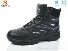 ROYYNA 101C-6, 30.00, 8, 41-46